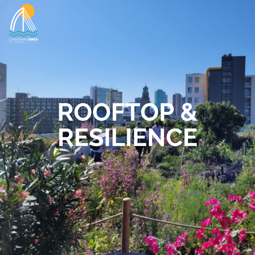 rooftop and resilience exploration tour in Rotterdam