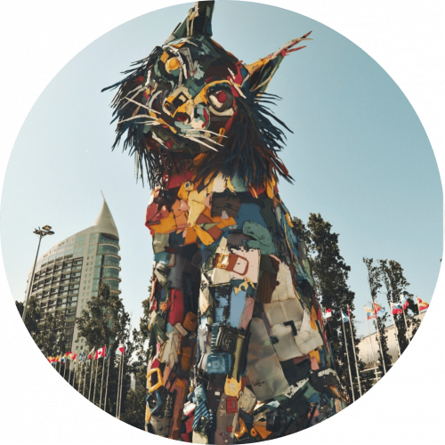 artistic cat in Lisbon